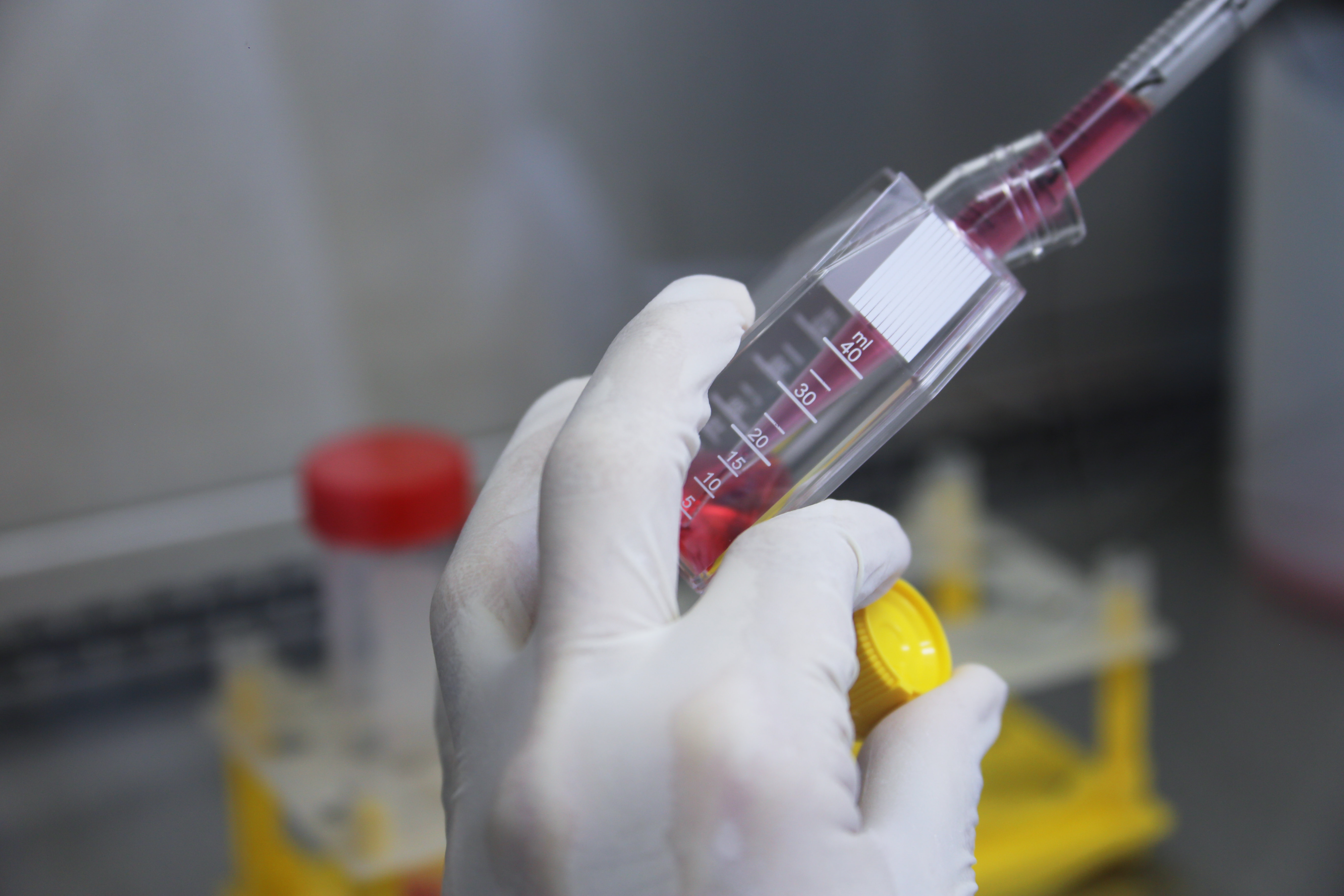 Vacina contra Covid-19 desenvolvida por empresa brasileira em parceria com companhia americana recebe apoio da Anvisa para testes em humanos