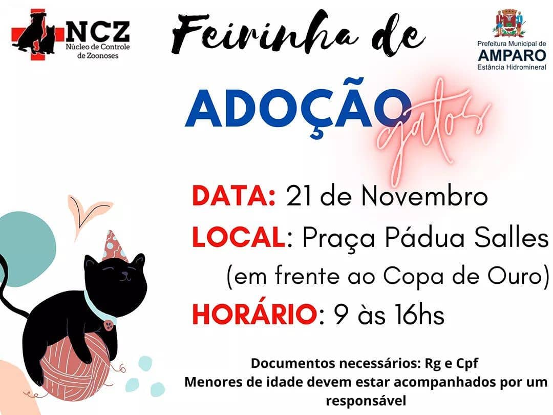 NCZ de Amparo realiza a feira de adoção de gatos