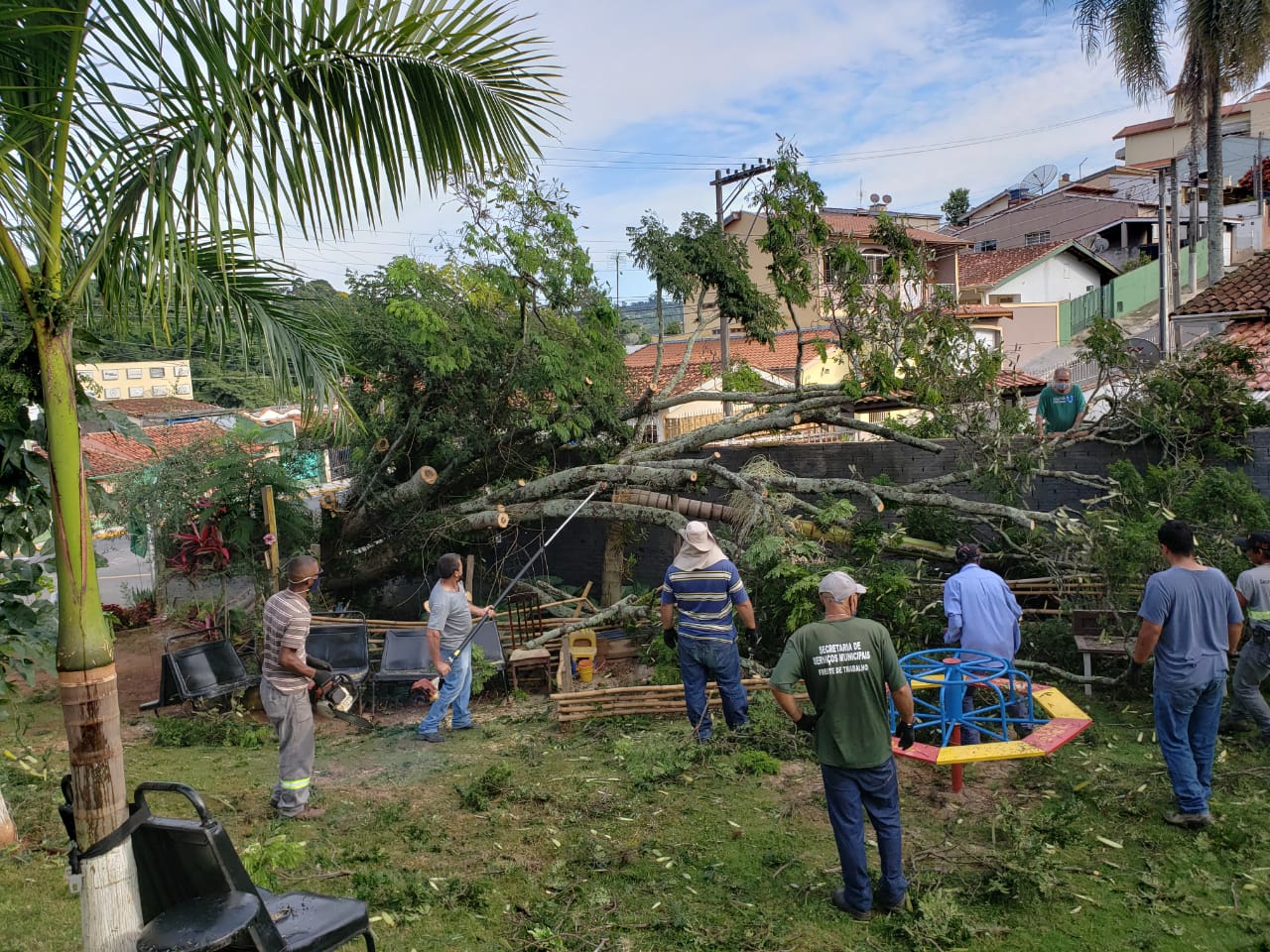 Prefeitura de Serra Negra retira árvore caída em área verde
