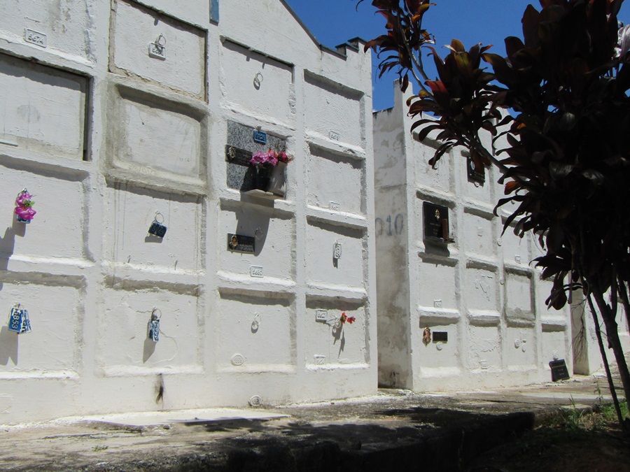 Prefeitura de Serra Negra vai aumentar número de colmeias no cemitério
