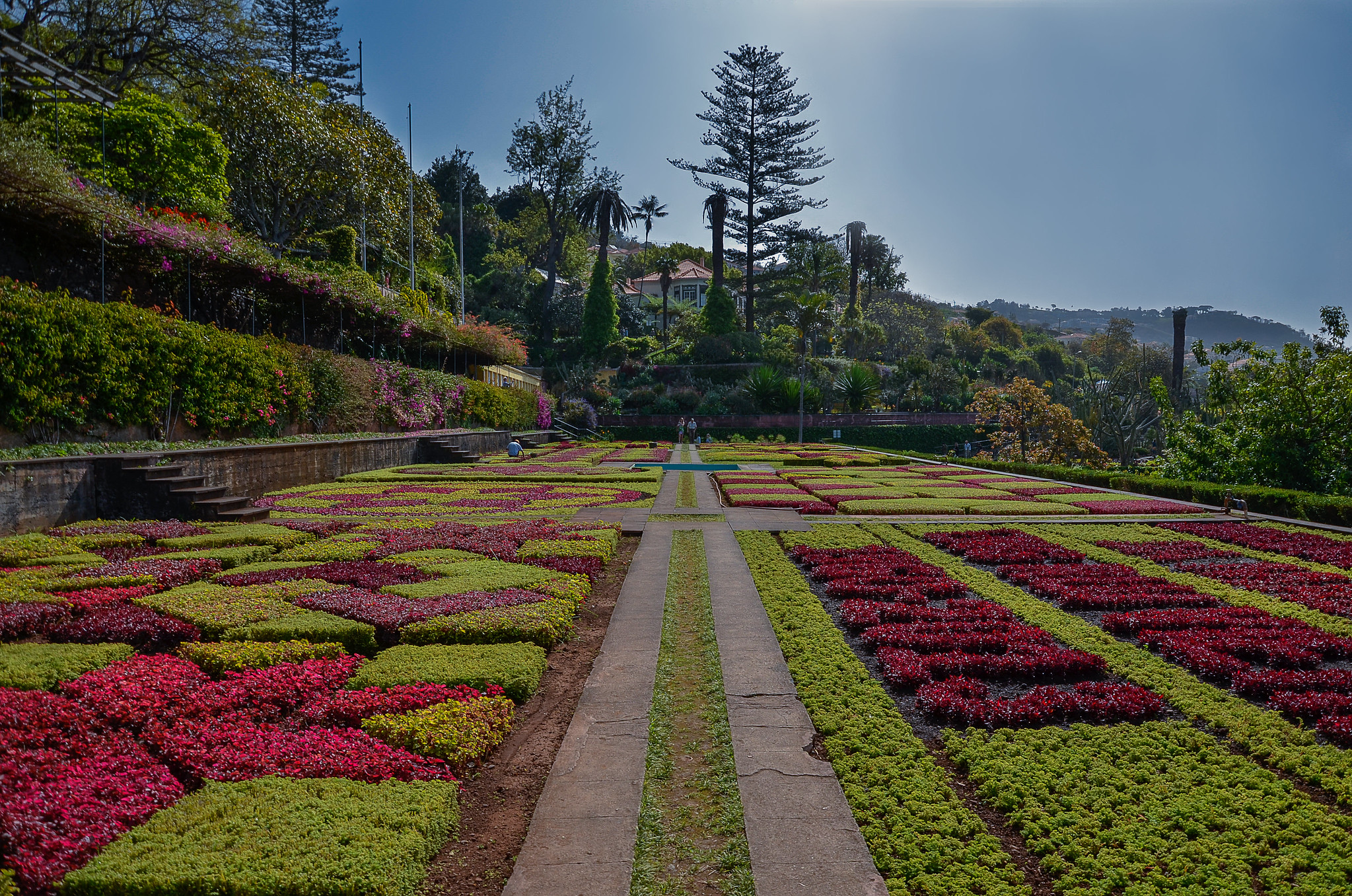 Quatro maravilhas do paisagismo na Ilha da Madeira