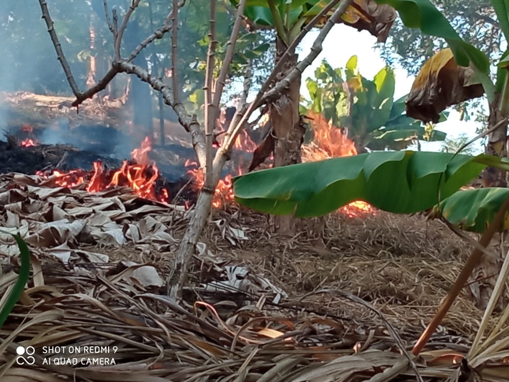 Autoridades de Amparo apresentam duas pessoas por queimada em terreno