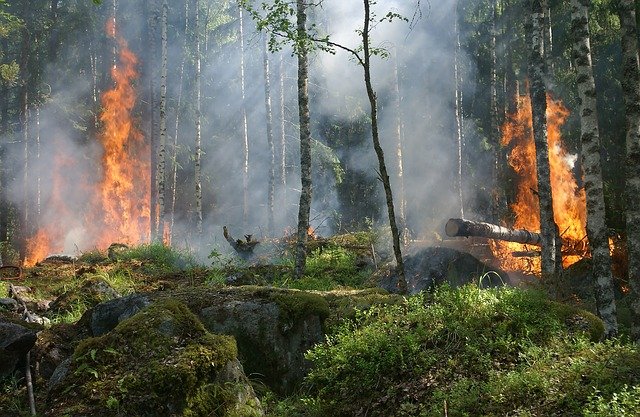 Defesa Civil alerta para risco de incêndio em razão das altas temperaturas