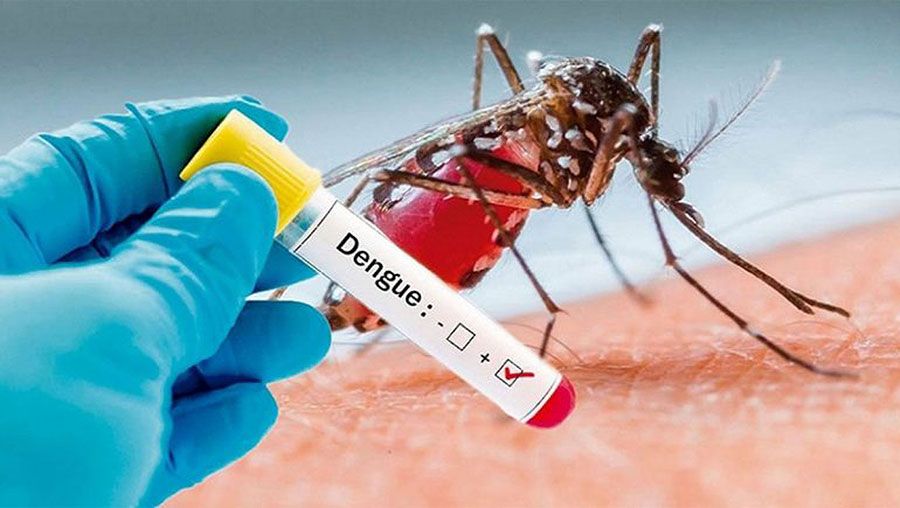 Pedreira chama a população para o Combate a Dengue