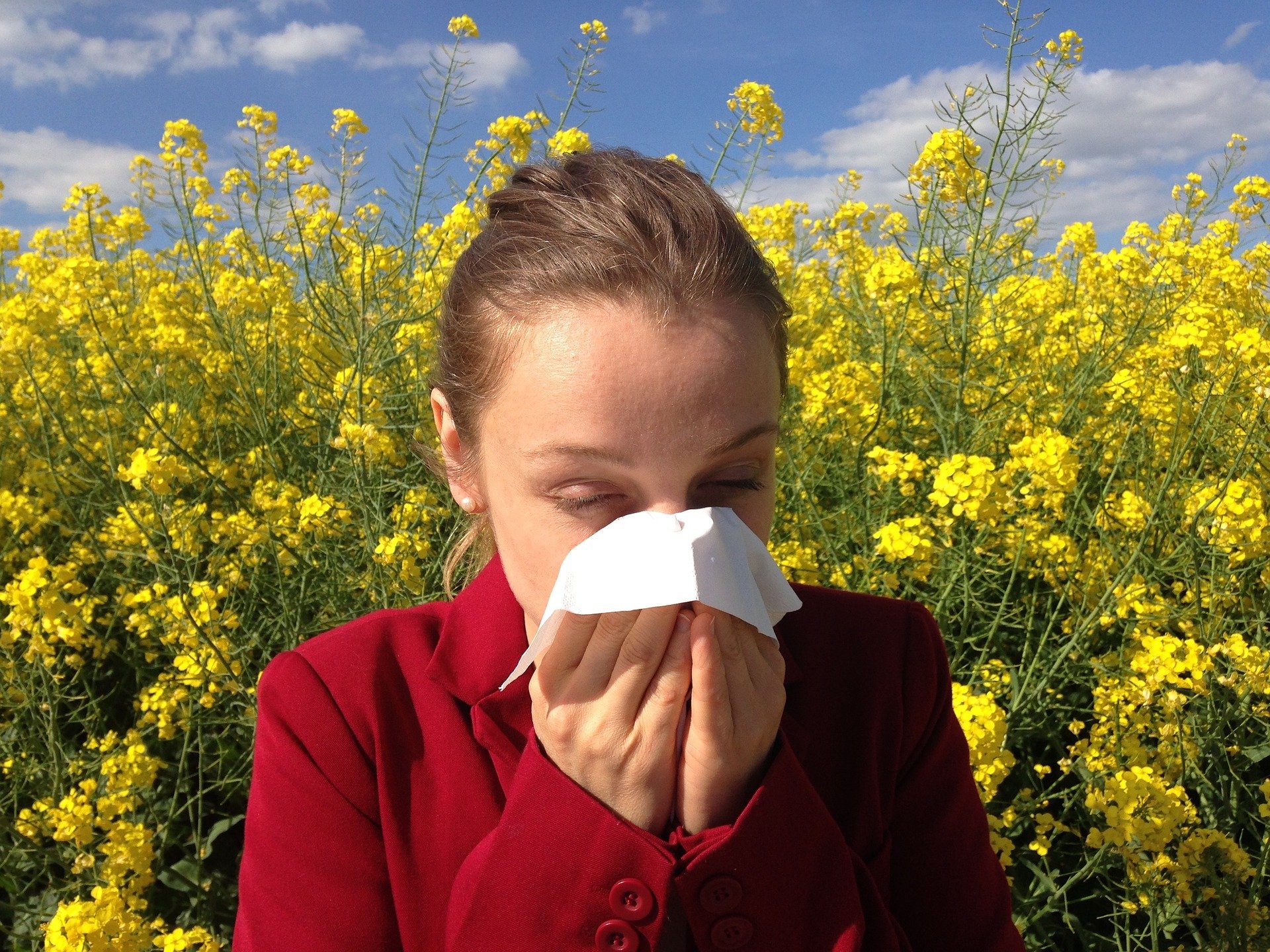 Primavera: saiba quais são as doenças e alergias mais comuns e como evitá-las