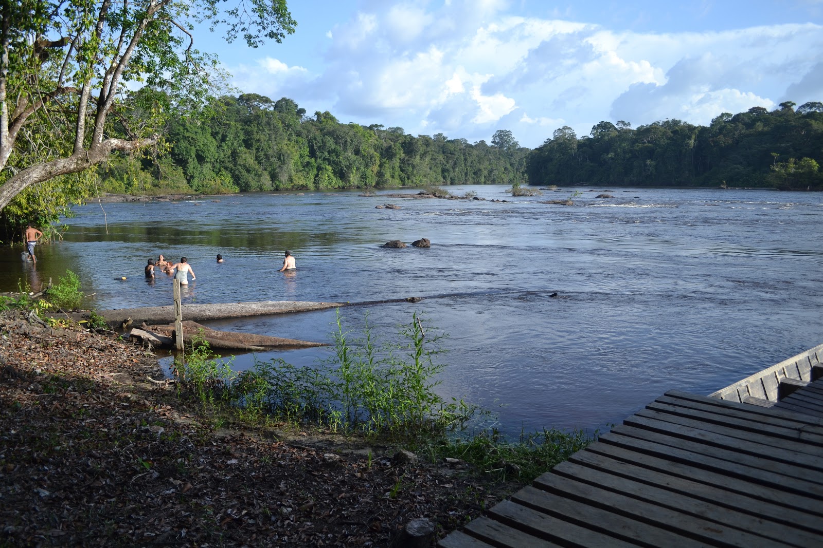 Parque Nacional do Tumucumaque (AP) ganha visibilidade com o ecoturismo no pós-pandemia