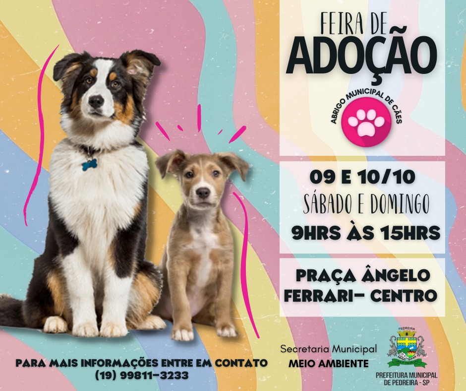 Feira de Adoção de Cães será realizada nos dias 9 e 10 de outubro, em Pedreira