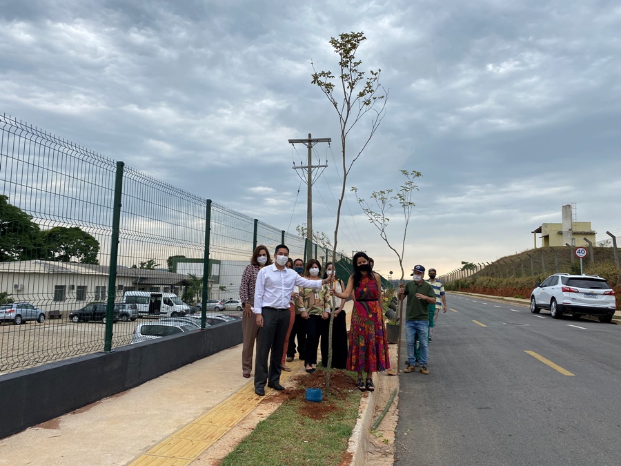 TE Connectivity planta 50 árvores em Bragança Paulista em comemoração aos seus 50 anos no Brasil