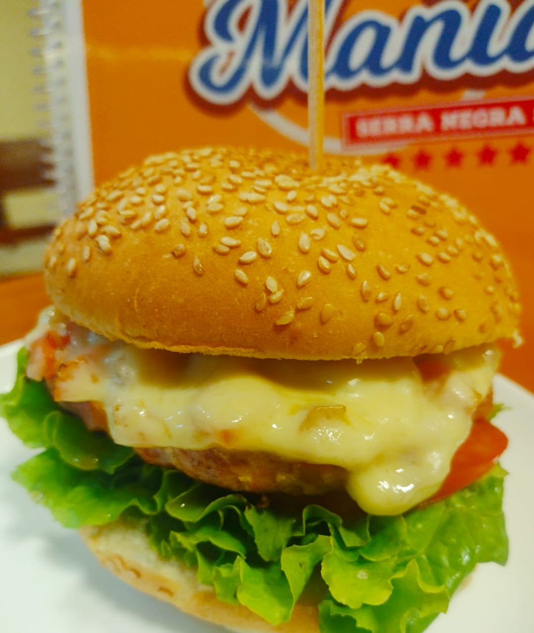 Cardápio Gourmet da Burger Mania está recheado de opções