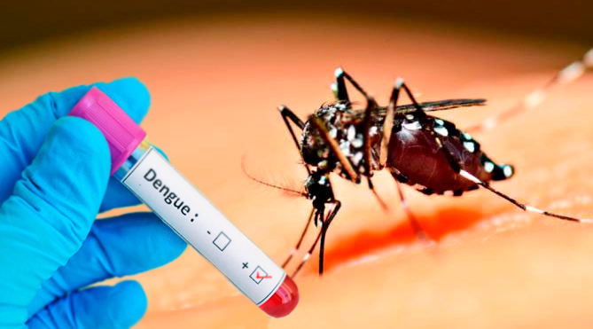 Saúde confirma primeiro caso de dengue do ano, em Itapira