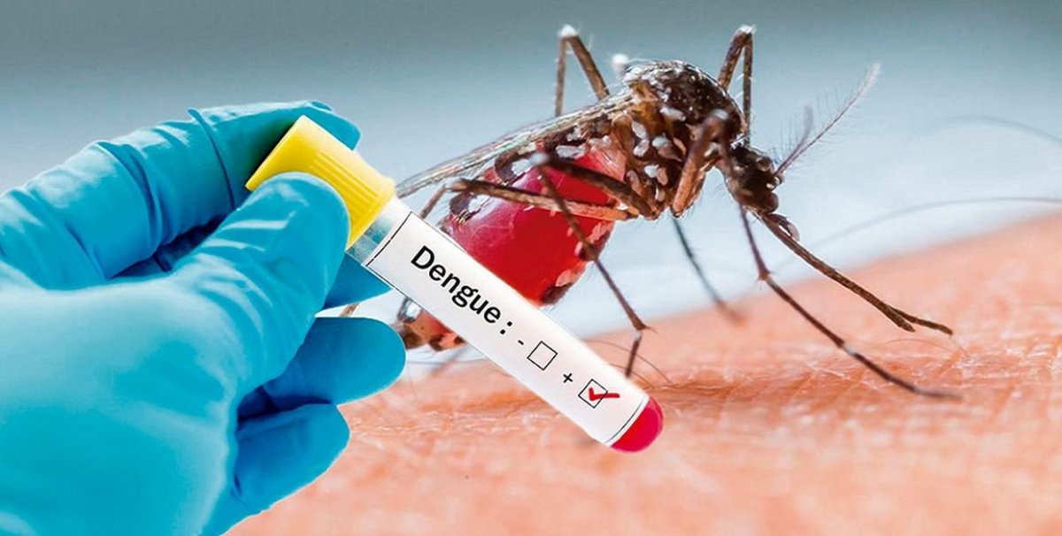 Casos confirmados de dengue chegam a 16, em Itapira