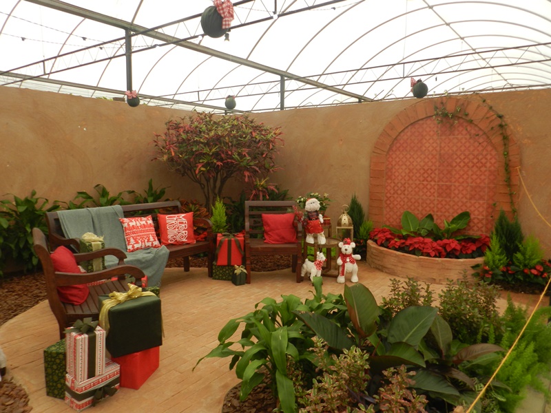 Jardins em Festa sugerem decorações com plantas e flores no Natal de Holambra