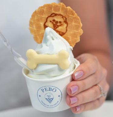 Gelato 100% Natural é na Pebo Ice Cream, em Serra Negra