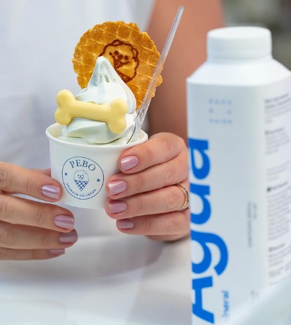 Pebo Premium Ice Cream é o ponto do gelato 100% natural em Serra Negra
