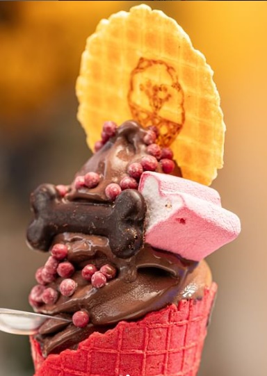 Pebo Ice Cream conta com produtos 100% artesanais para você saborear