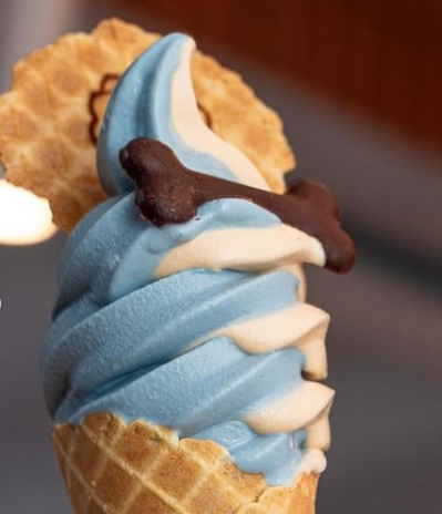 Domingo também é dia de gelatos 100% naturais da Pebo Ice Cream
