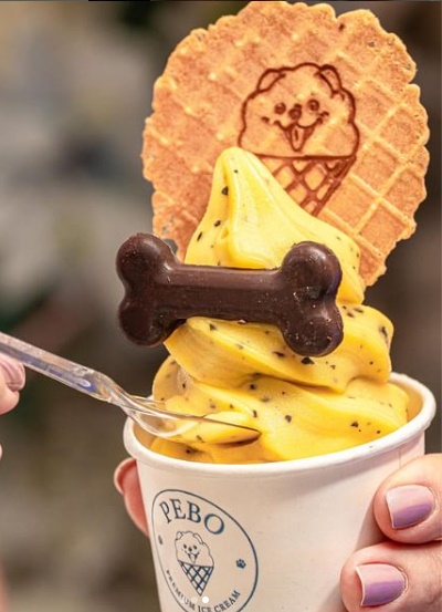 Onda de calor tem refresco na Pebo Ice Cream
