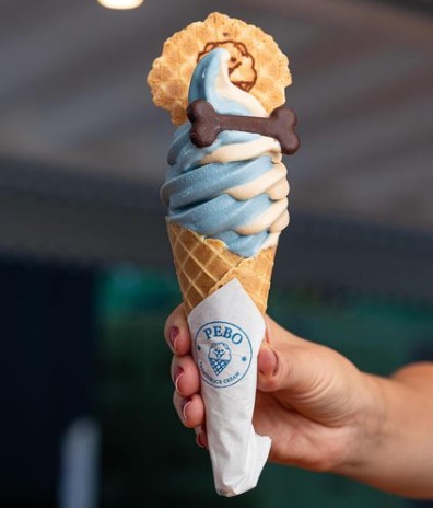 Pebo Ice Cream é um festival de cores e sabores