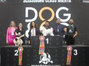 Pamela e Vanderlei Lopes são Juízes de Destaque na Master Groom, maior campeonato de tosa do mundo que acontece na Pet South America