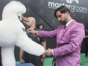 Pamela e Vanderlei Lopes são Juízes de Destaque na Master Groom, maior campeonato de tosa do mundo que acontece na Pet South America