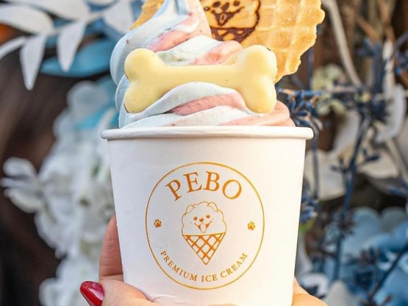 Na casquinha 100% artesanal, ou no copinho, a Pebo Ice Cream é uma deliciosa opção em Serra Negra