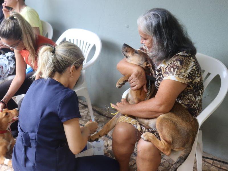 Prefeitura fez 2.432 castrações em cães e gatos desde 2021
